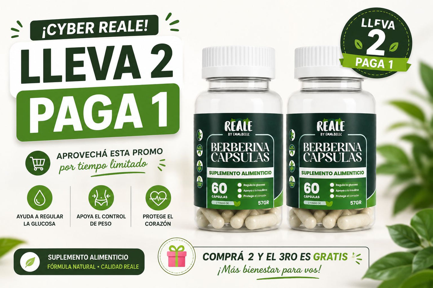 BERBERINA 2 X 1